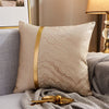 Luxury Modern Lightweight Cushion Cover Silk Satin Color Pillowcase