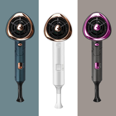 Household Hair Dryer - Diinina Home